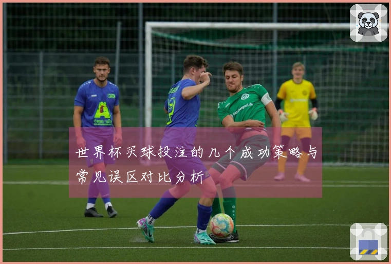 世界杯买球投注的几个成功策略与常见误区对比分析