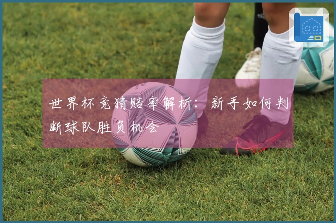 世界杯竞猜赔率解析：新手如何判断球队胜负机会