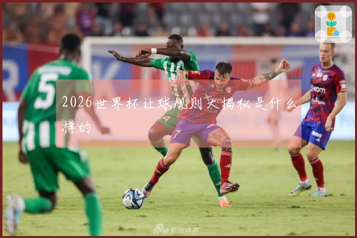 2026世界杯让球规则大揭秘是什么样的