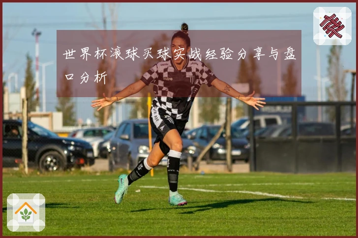 世界杯滚球买球实战经验分享与盘口分析